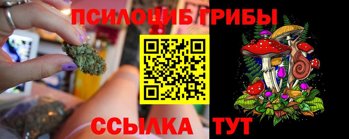 Галлюциногенные грибы Psilocybe Туапсе